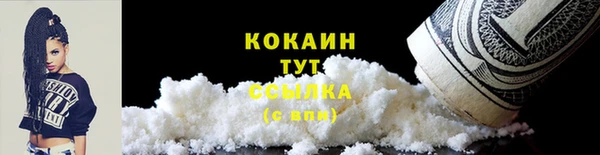 прущие грибы Киренск
