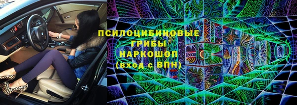 прущие грибы Киренск
