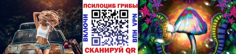 дарнет шоп  Краснозаводск  Псилоцибиновые грибы GOLDEN TEACHER 